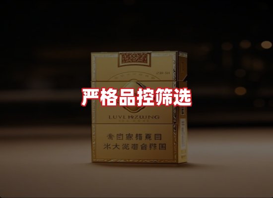 专业团队